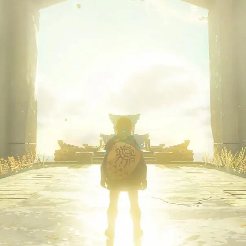 The Legend of Zelda: Tears of the Kingdom - Nintendo Switch (Region Free)