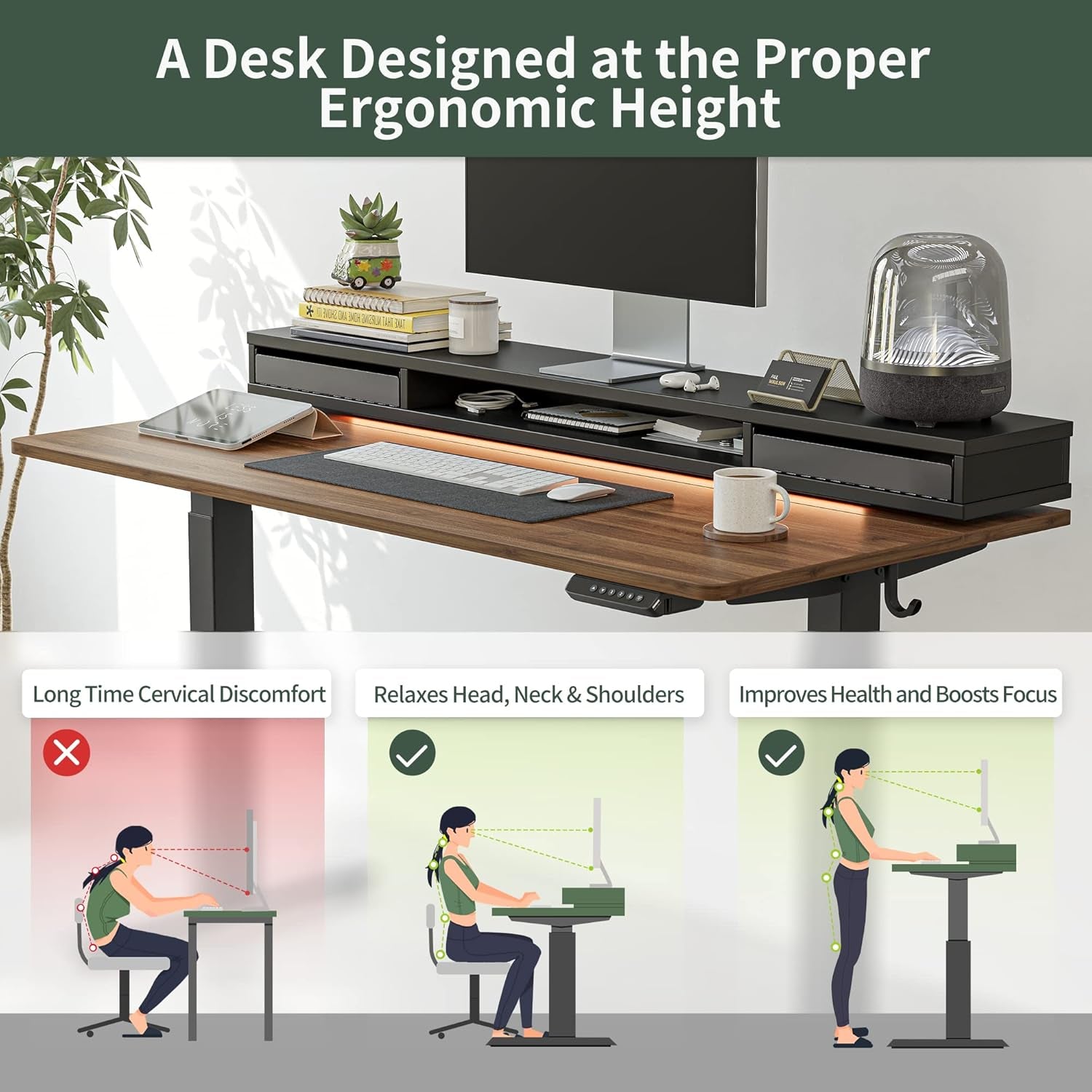 55 X 24 Inch Height Adjustable Electric Standing Desk with Double Drawers, Stand up Desk with LED Strips and Monitor Stand, Black Walnut